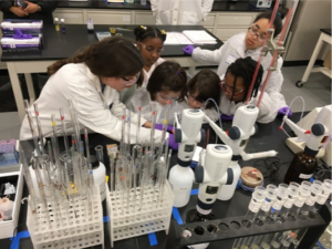 STEM Girls Programs