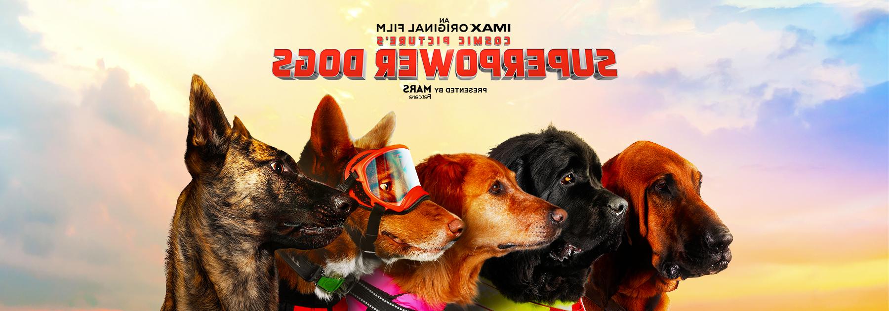 Promotional image from the omnimax film superpower dogs